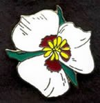 Sego Lily pin