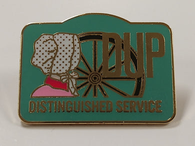 Distinguished Service Award Pin