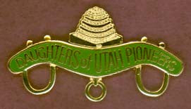Pin, DUP Logo